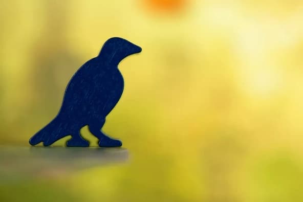 Everdell: Pearlbrook immagine 9