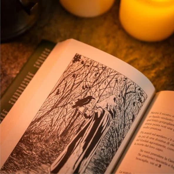 Lupo Solitario Vol.1 - I Signori delle Tenebre - Edizione Speciale Quarantennale Librogame immagine 2