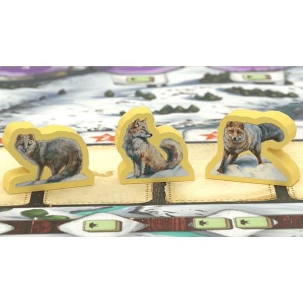 The Fox Experiment immagine 3