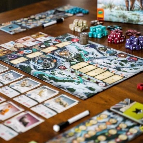 The Fox Experiment immagine 7