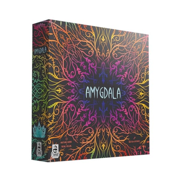 Amygdala immagine 1
